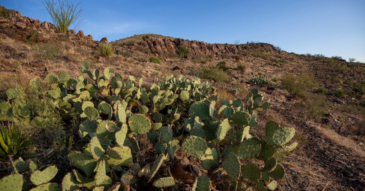 Biden designates Castner Range in El Paso a national monument | The